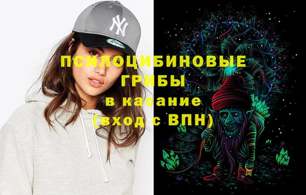 шишки Алзамай