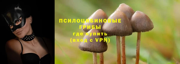гидропоника Нея