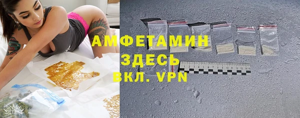 шишки Алзамай